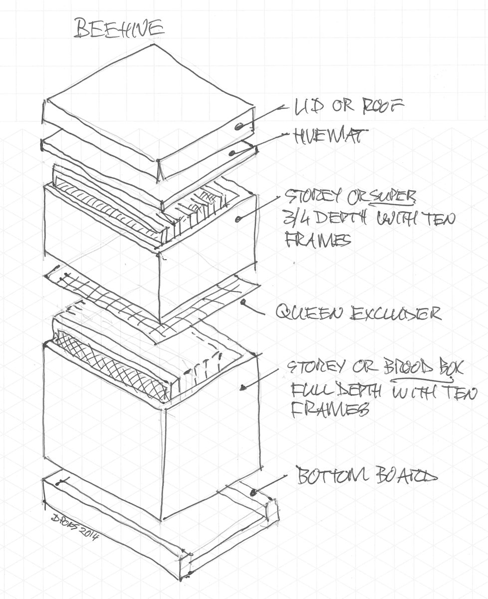 Diagram-style photo of beehive boxes and parts laid out