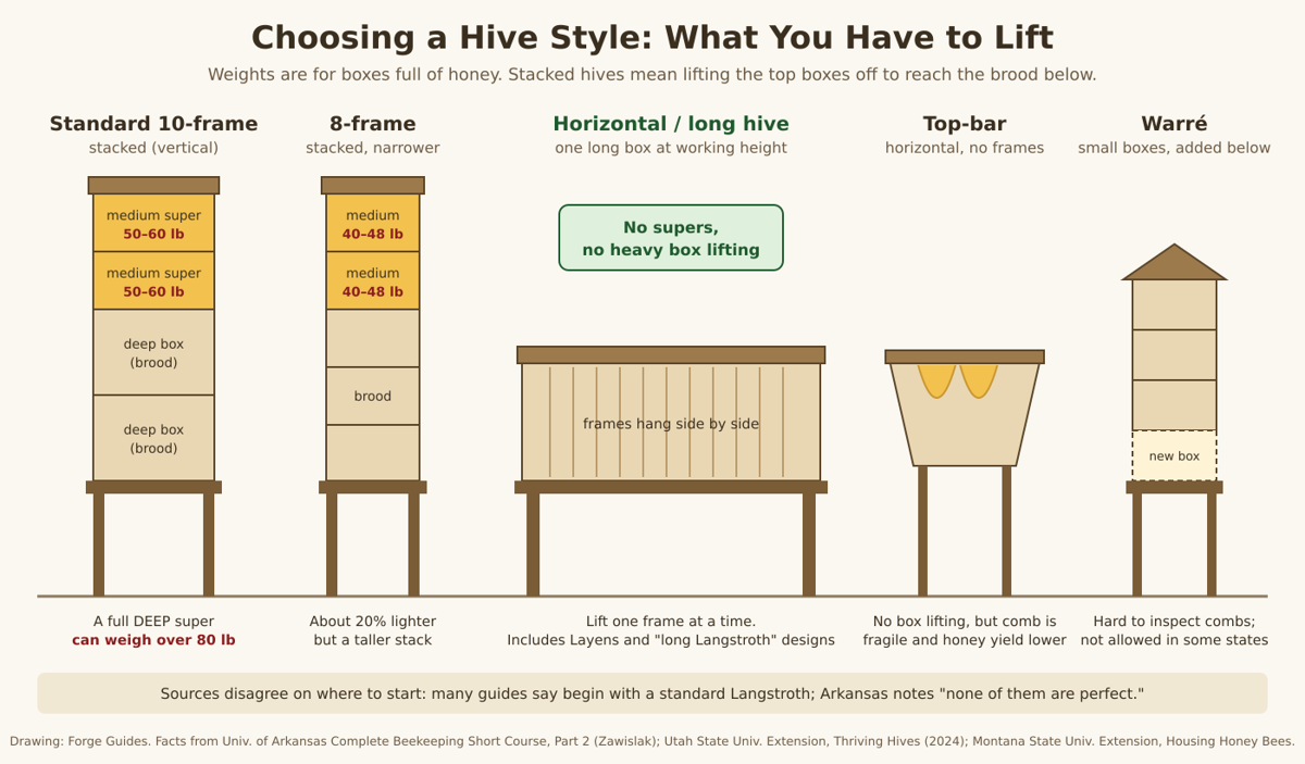 Diagram comparing hive styles and the weight of each box to lift