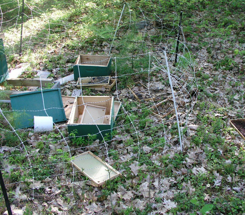 Beehives knocked over and broken apart by a bear